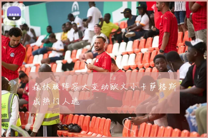 森林狼阵容大变动欧文小卡萨格斯成热门人选