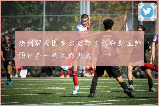 热刺解雇图多尔后即将任命新主帅预计在一两天内完成