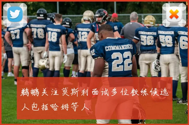 鹈鹕关注莫斯利面试多位教练候选人包括哈姆等人