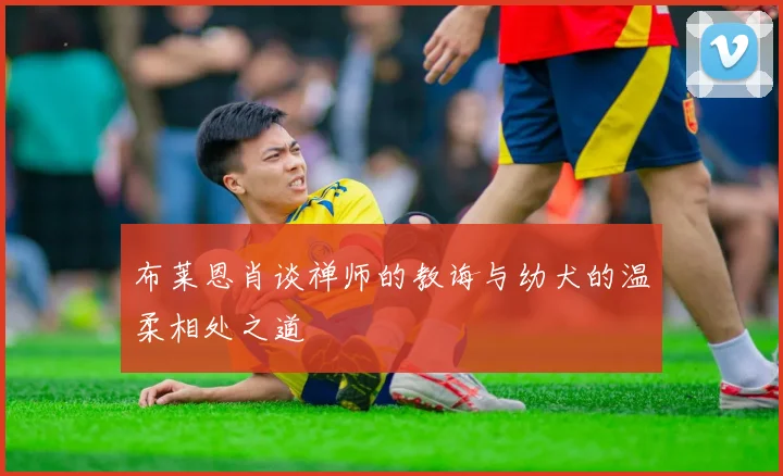 布莱恩肖谈禅师的教诲与幼犬的温柔相处之道