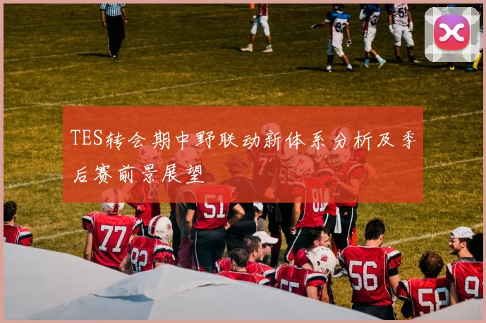 TES转会期中野联动新体系分析及季后赛前景展望