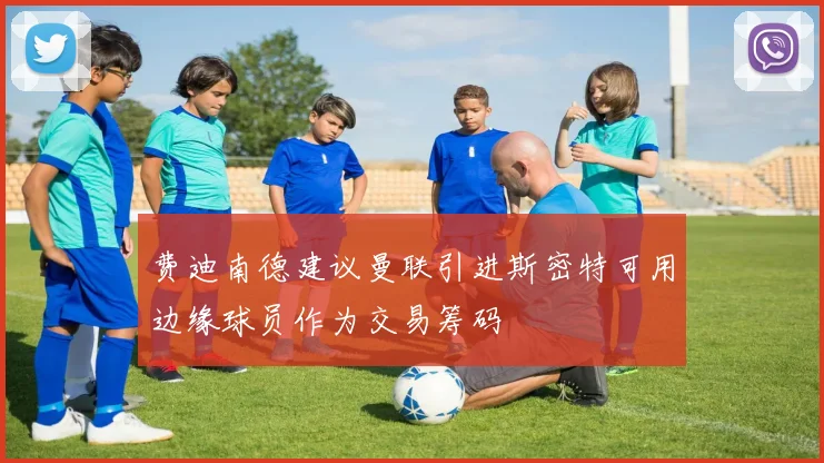 费迪南德建议曼联引进斯密特可用边缘球员作为交易筹码